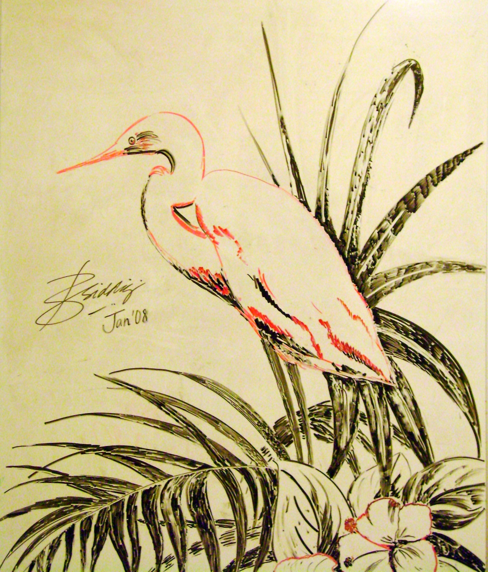 Bird