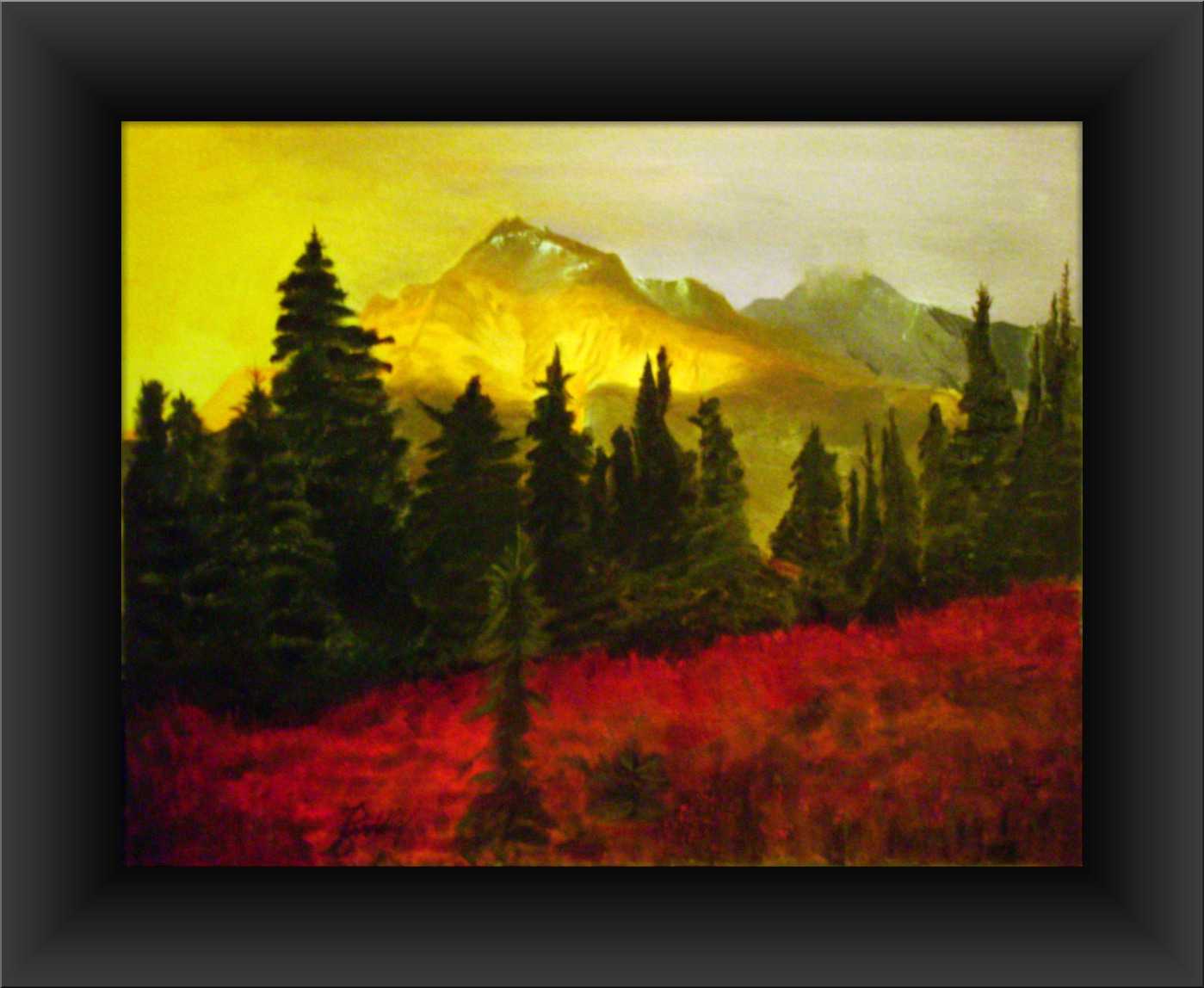 Alaskan Birch
