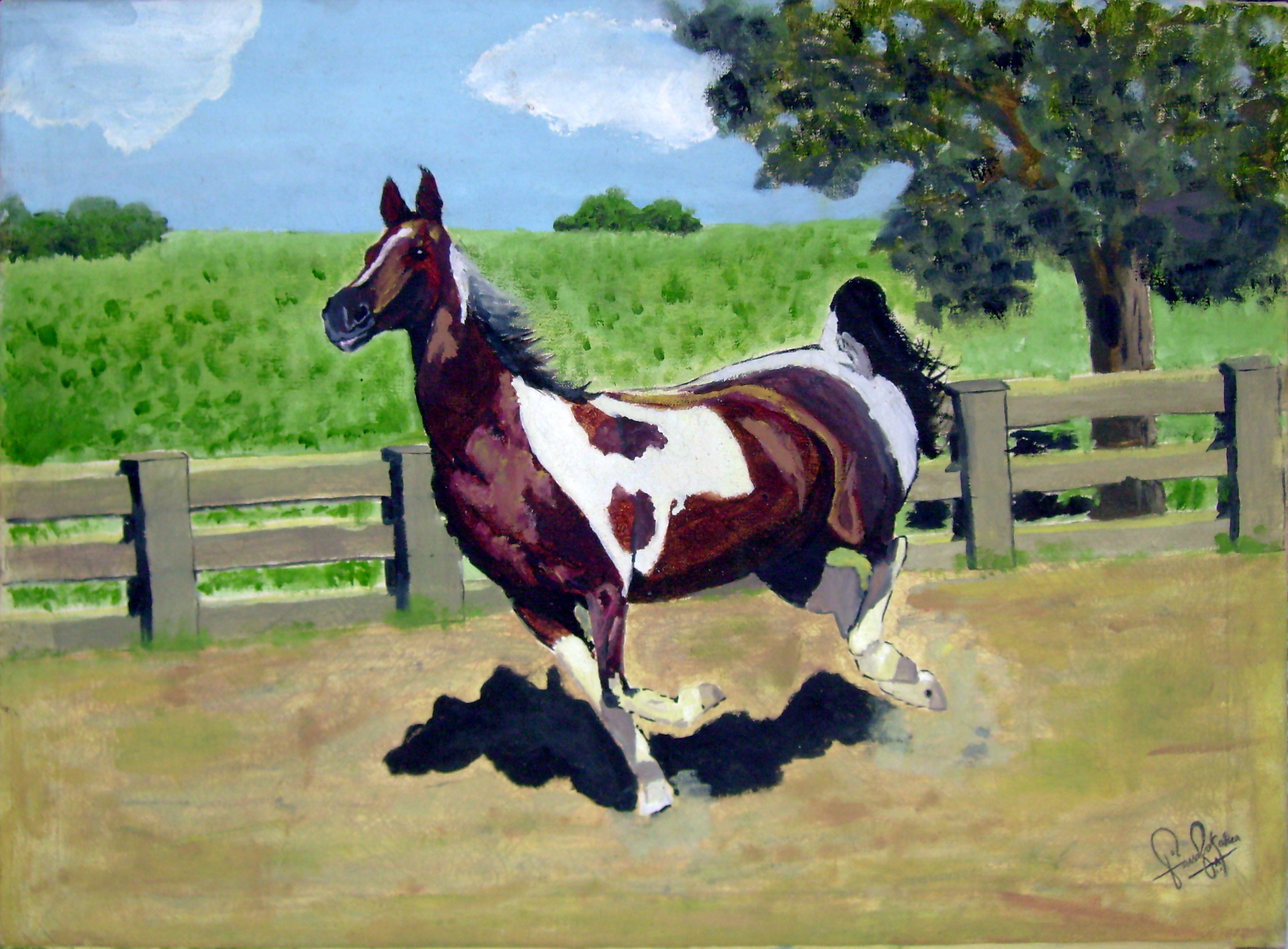 Horse in a Ranch