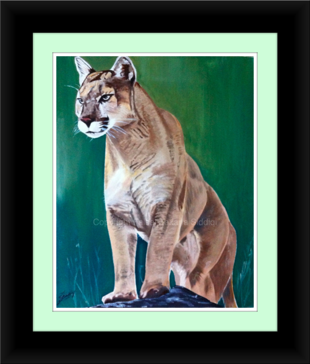California Mountain Lion — Acrylics, for Sierra Club